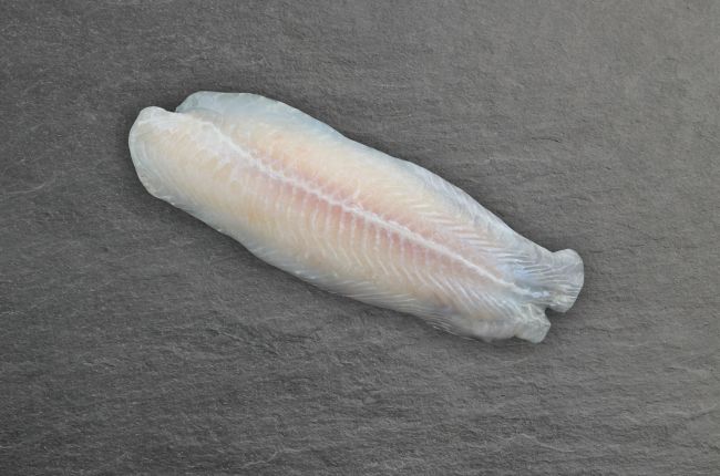Pangasiusfilet